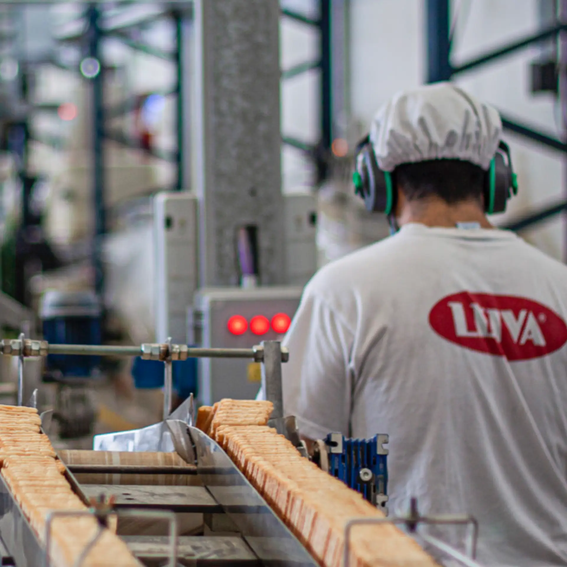 Fabrica de galletitas de agua Leiva